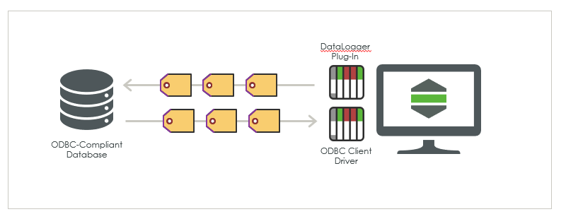 Explore Database Connectivity | tutorial | PTC Learning Connector
